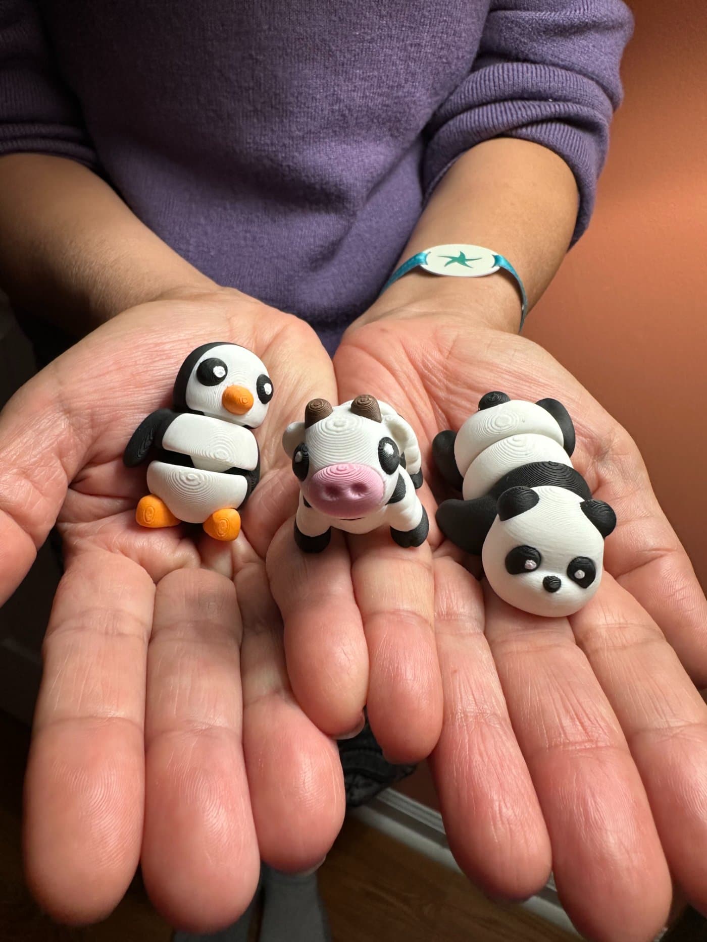 Pocket Pets held in hand